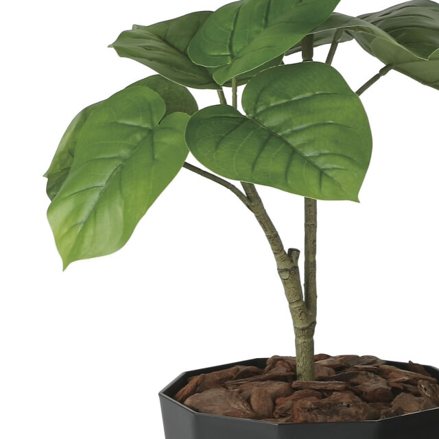 光触媒　人工観葉植物　ウォールグリーン　フレッシュウンベラータ1.35m 光触媒 人工観葉植物 ウォールグリーン フレッシュウンベラータ1.35m