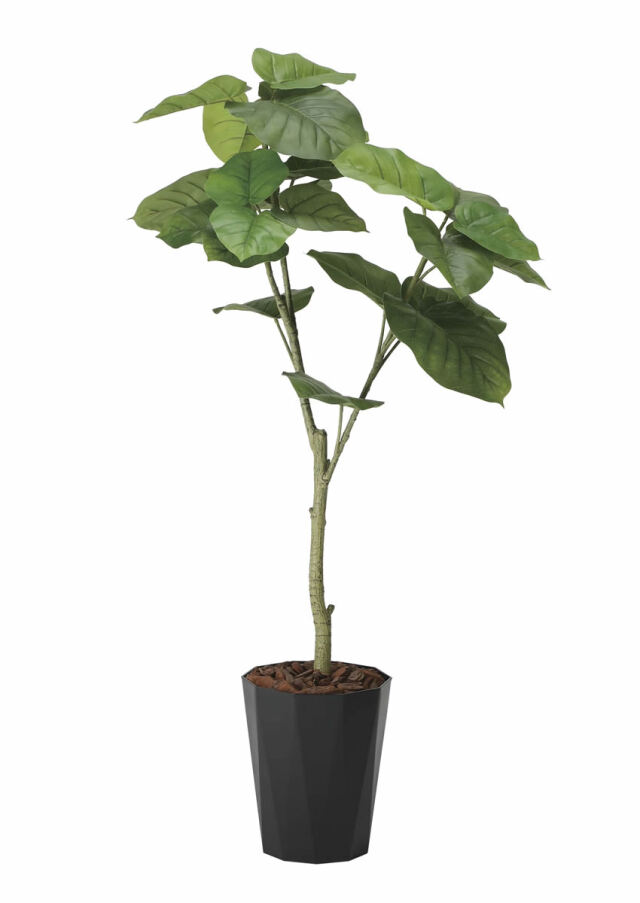 インテリアグリーン ウンベラータ 全高70cm おしゃれ フェイクグリーン 造花 インテリア 人工観葉植物 人工樹木 フィカス 人工観葉植物と造花の通販ケイシン好評 クワズイモ フェイクグリーン 全高80cm 人工樹木 造花 インテリアグリーン 人工観葉植物 おしゃれ