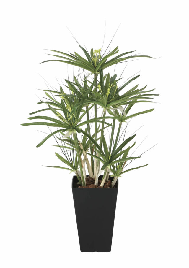 光触媒 光の楽園 パピルス 60【インテリア フェイクグリーン 人工観葉植物】(2296R100)