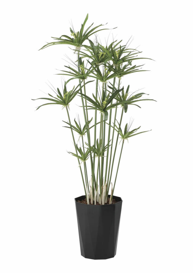 光触媒 光の楽園 パピルス 1.25m【インテリア フェイクグリーン 人工観葉植物】(2297A200)