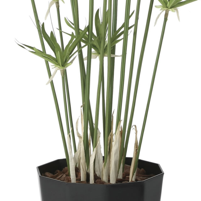 光触媒 光の楽園 パピルス 1.25m【インテリア フェイクグリーン 人工