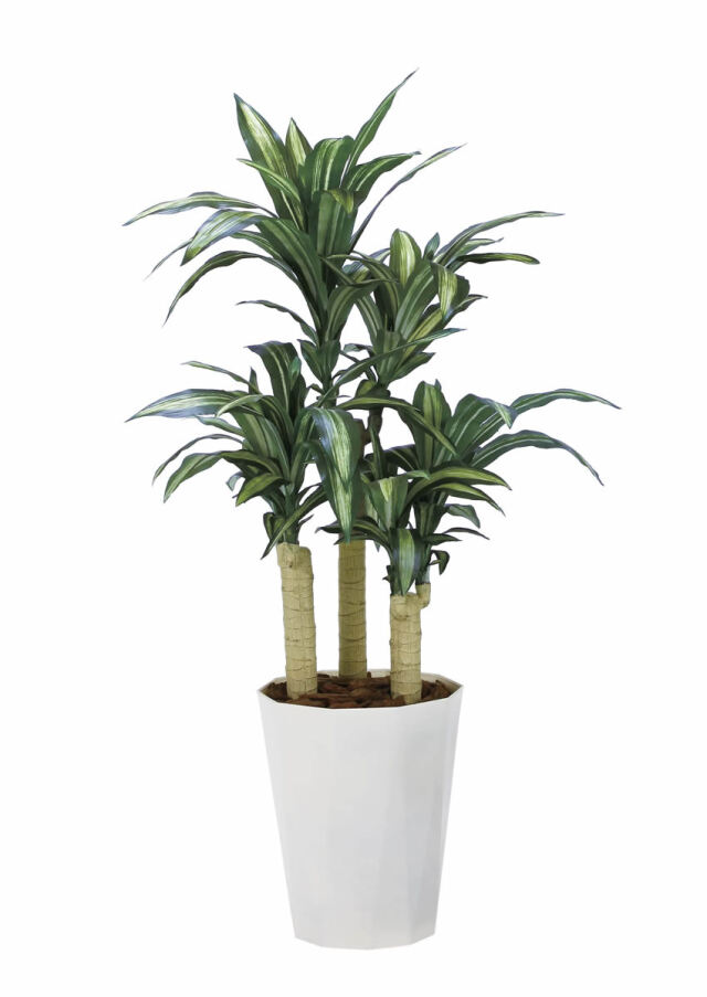 光触媒 人工観葉植物 幸福の木（ドラセナ）【光の楽園】