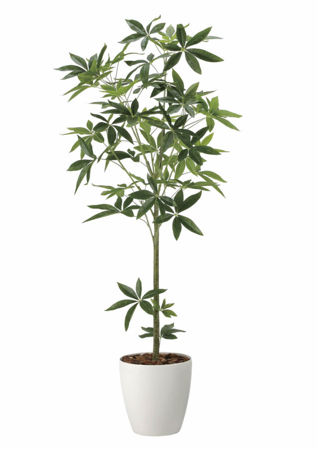 光触媒 光の楽園 フレッシュパキラ1.7m【インテリア フェイクグリーン 人工観葉植物】(2322P400)（※ラッピング不可）