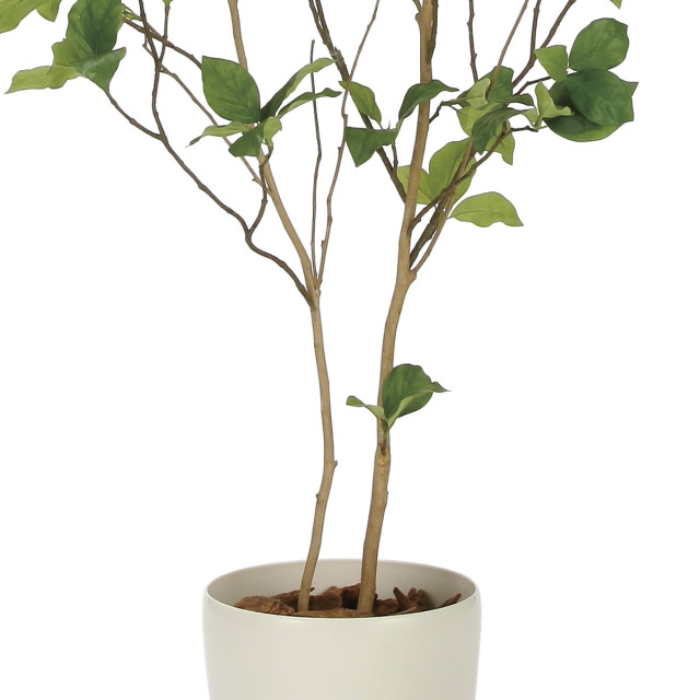 光触媒　人工観葉植物　ウォールグリーン　フェイクグリーン　サラサドウダン1.2 光触媒 人工観葉植物 ウォールグリーン フェイクグリーン サラサ