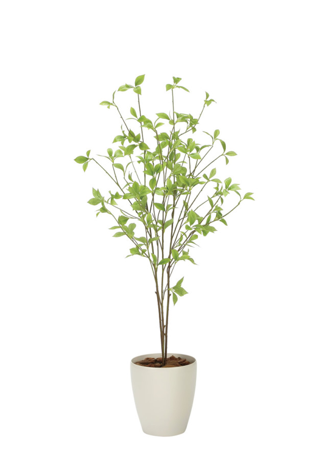 光触媒 光の楽園 クロモジ1.2m【インテリア フェイクグリーン 人工観葉植物】(2324A200)