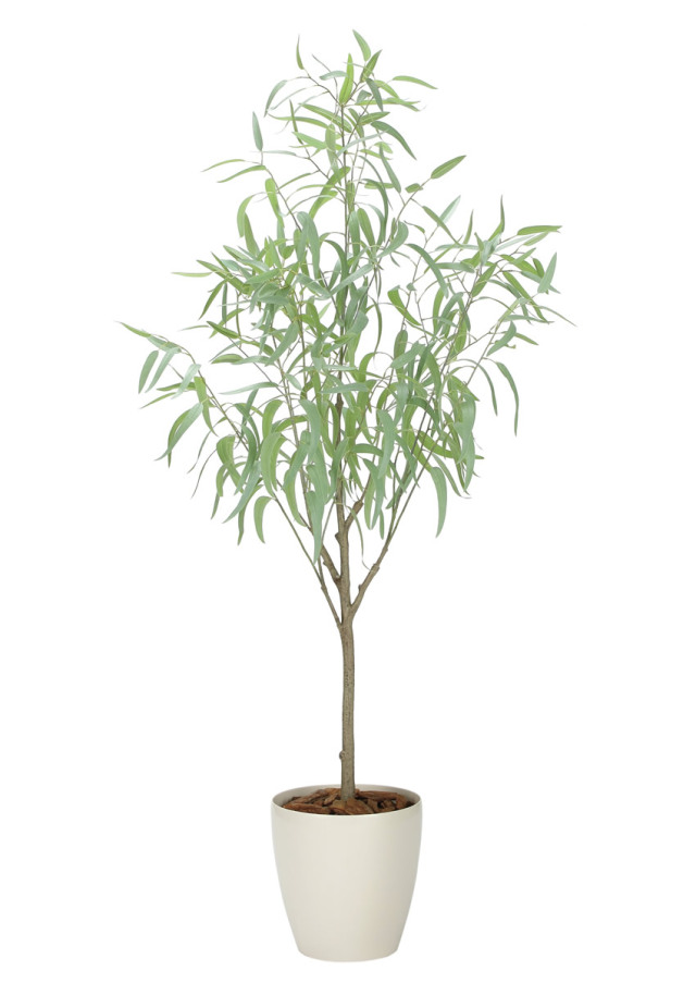 光触媒 光の楽園 フレッシュシルバーユーカリ1.7m【インテリア フェイクグリーン 人工観葉植物】(2330A500)