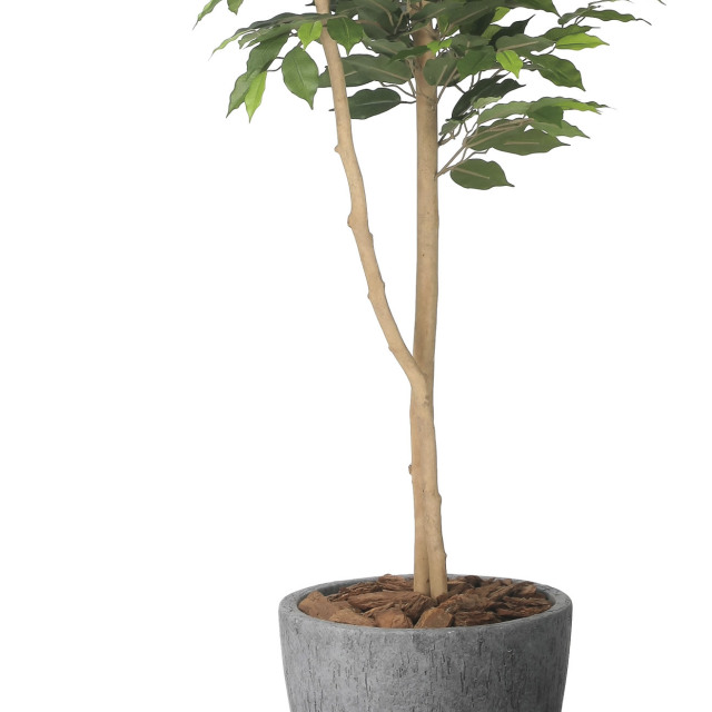 光触媒 光の楽園ナチュラルベンジャミン 1.6m【インテリア フェイク