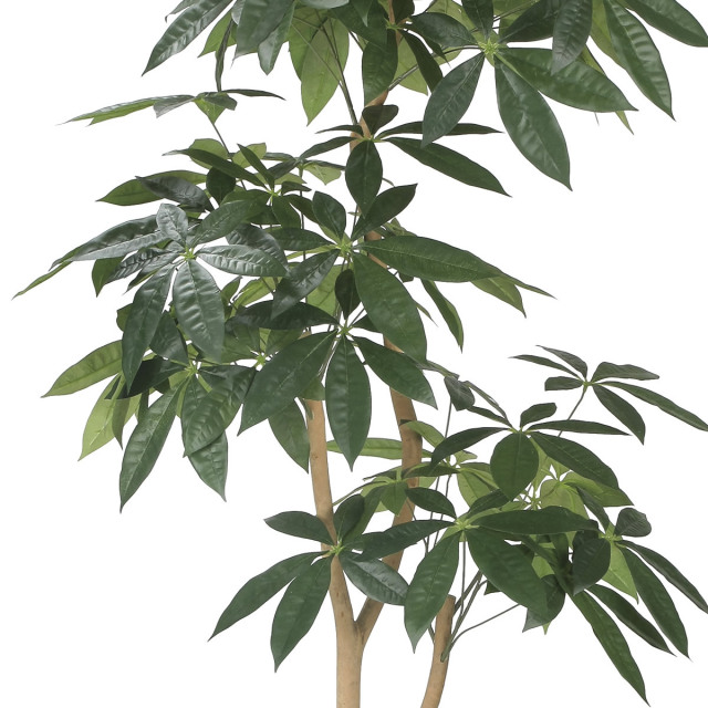 光触媒 光の楽園 ナチュラルパキラ1.8m【インテリア フェイク