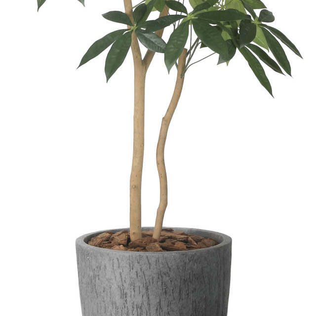 光触媒 光の楽園 ナチュラルパキラ1.8m【インテリア フェイク