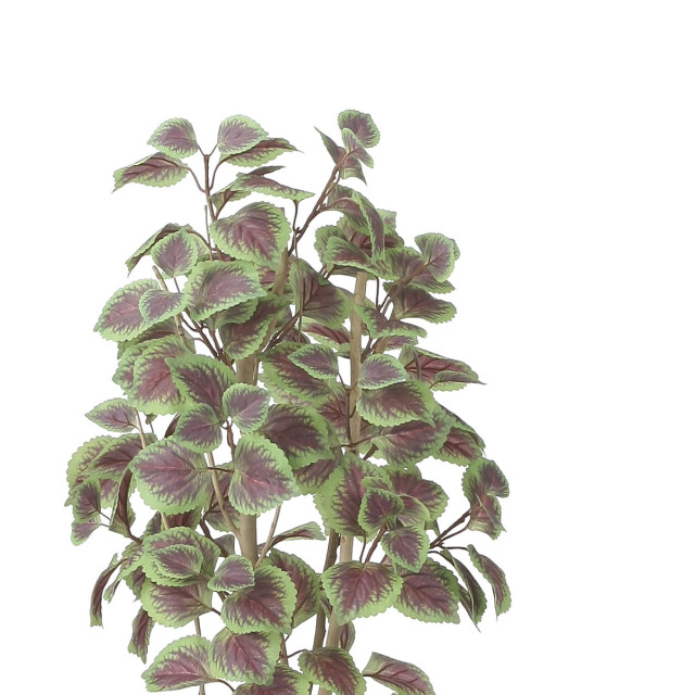 光触媒　人工観葉植物　ウォールグリーン　フェイクグリーン　コリウス1.1 光の楽園 光触媒 人工観葉植物 ウォールグリーン フェイク