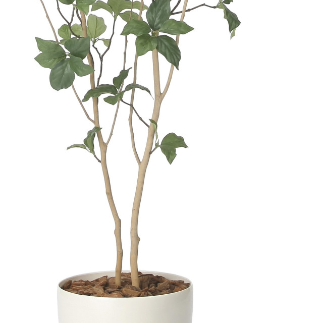 光触媒 人工観葉植物 フェイクグリーン スリムサラサドウダン1.7 楽天