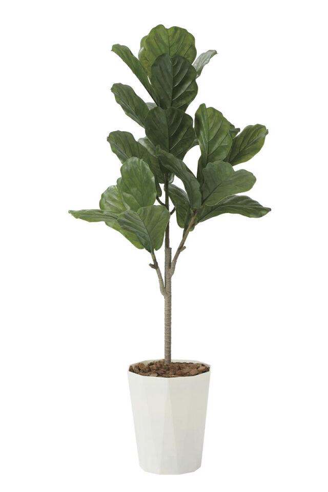 光触媒 光の楽園 幸福の木 高さ 1.1m 【インテリア フェイク