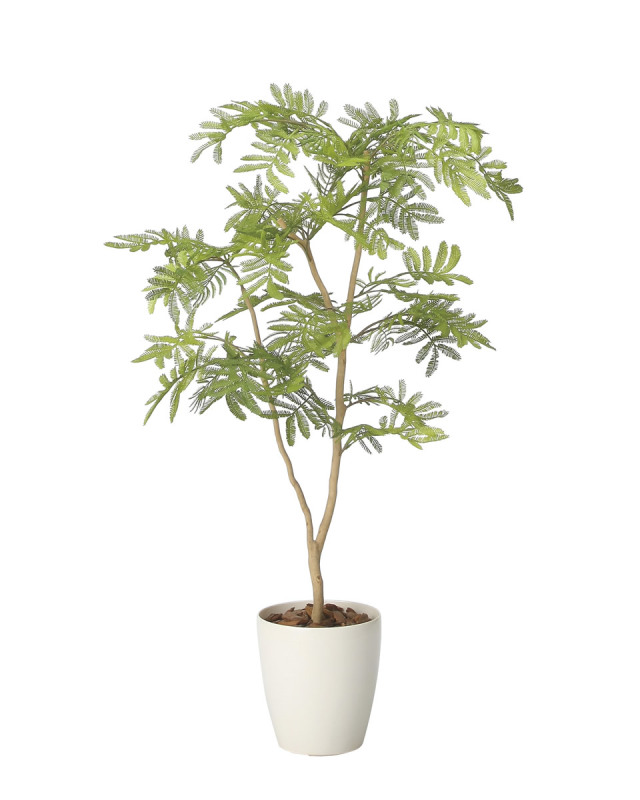 光触媒 光の楽園 ねむの木90【インテリア フェイクグリーン 人工観葉植物】(2428A150)【ラッピング不可】