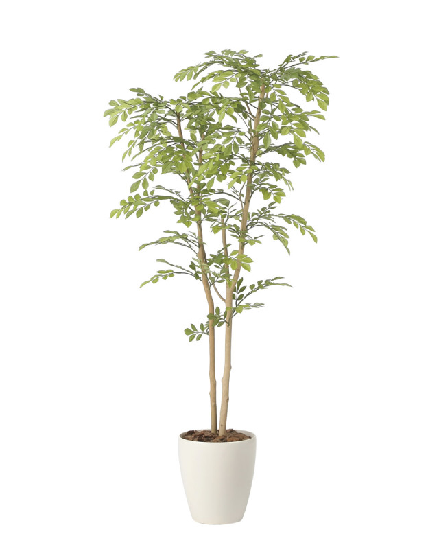 光触媒 人工観葉植物 ウォールグリーン フェイクグリーン ライトトネリコ1.6m 光触媒 光の楽園 ライトトネリコ1.3【インテリア フェイク