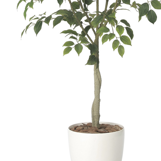 光触媒 光の楽園 フィカスツリー1.35【インテリア フェイクグリーン