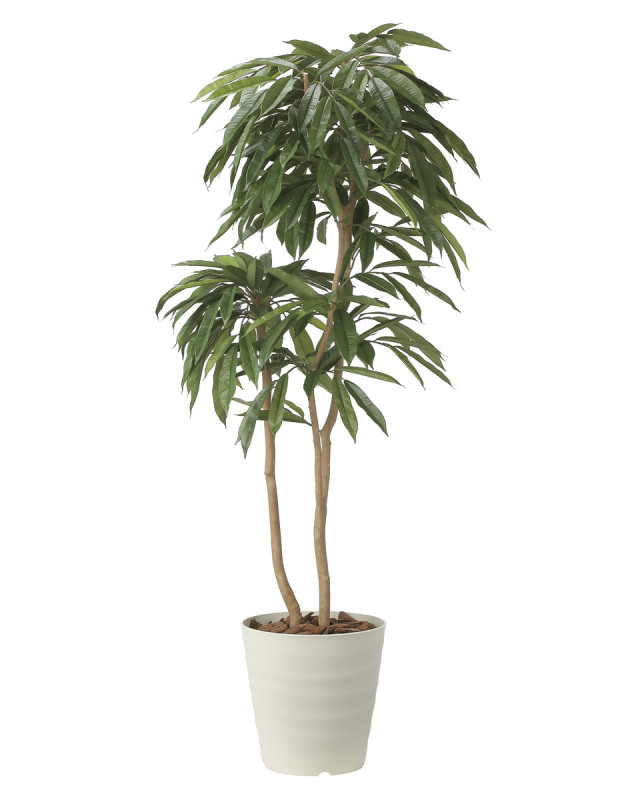 光触媒 人工観葉植物 フェイクグリーン アムステルラバーキング1.8