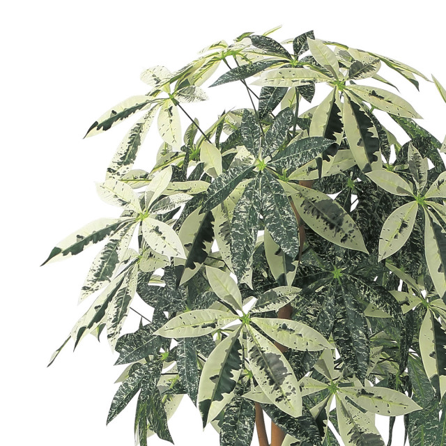 光触媒　人工観葉植物　ウォールグリーン　フェイクグリーン　ミルキーパキラ1.6 光触媒 光の楽園 ミルキーパキラ1.6【インテリア フェイクグリーン
