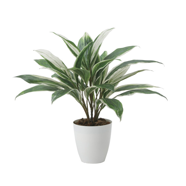 光触媒 光の楽園 ドラセナ【インテリア 人工観葉植物】(2459A50)