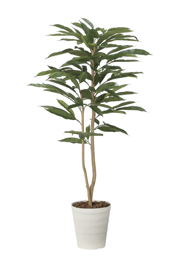 光触媒 光の楽園 アムステルダムキング1.3m【インテリア フェイクグリーン 人工観葉植物】(2488R250)（※ラッピング不可）