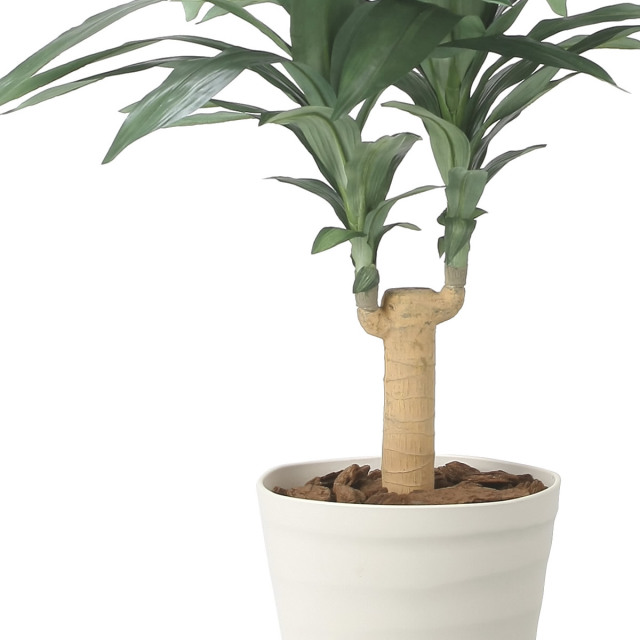 光触媒　人工観葉植物　フェイクグリーン　フレッシュドラセナ1.2m フェイクグリーン 人工観葉植物 インテリア 光触媒 観葉植物