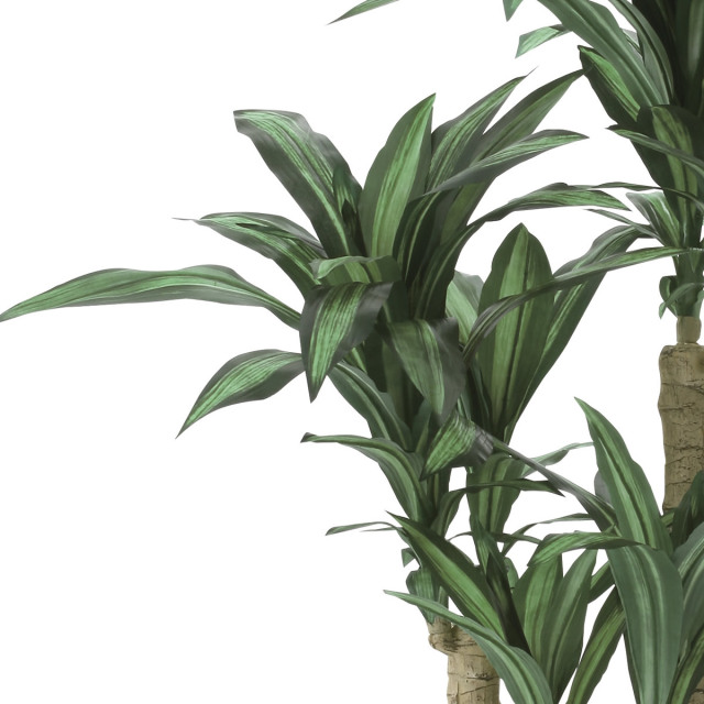 光触媒 光の楽園 ナチュラル幸福の木1.65m【インテリア フェイク