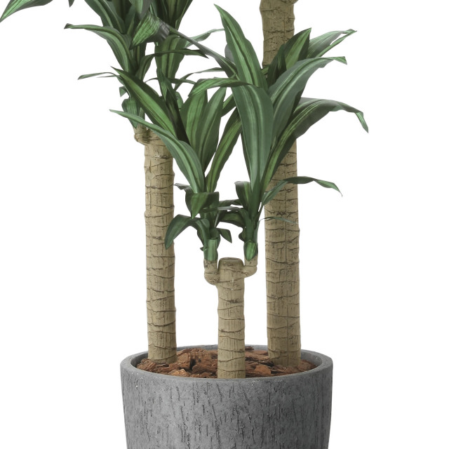 光触媒 光の楽園 ナチュラル幸福の木1.65m【インテリア フェイク