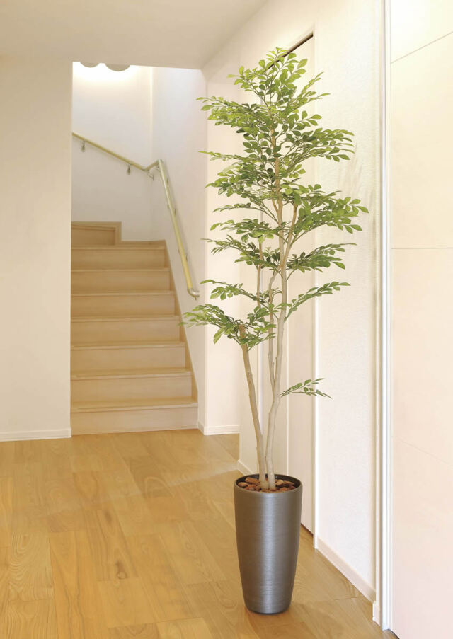 光触媒　人工観葉植物　ウォールグリーン　フェイクグリーン　スリムトネリコ1.8 光触媒 光の楽園 スリムトネリコ1.8m【インテリア フェイク