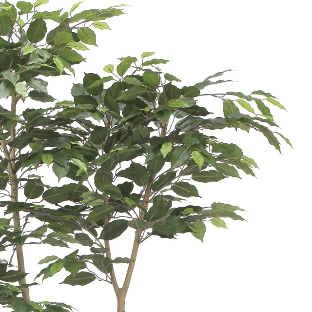 光触媒 光の楽園 デザインベンジャミン1.8m【インテリア フェイク