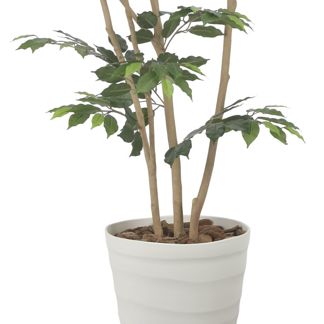 光触媒　人工観葉植物　フェイクグリーン　デザインベンジャミン1.8 光触媒 光の楽園 デザインベンジャミン1.8m【インテリア フェイク