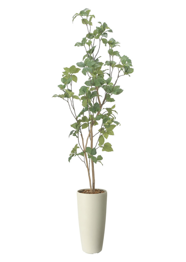 光触媒 光の楽園 スリムサラサドウダン1.7m【インテリア フェイクグリーン 人工観葉植物】(2515R360)（※ラッピング不可）