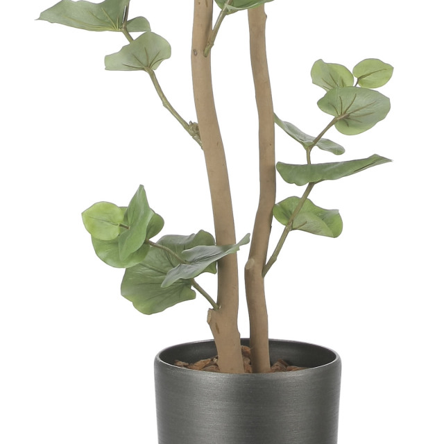 光触媒 光の楽園 スリムシーグレープ1.6m【インテリア フェイク