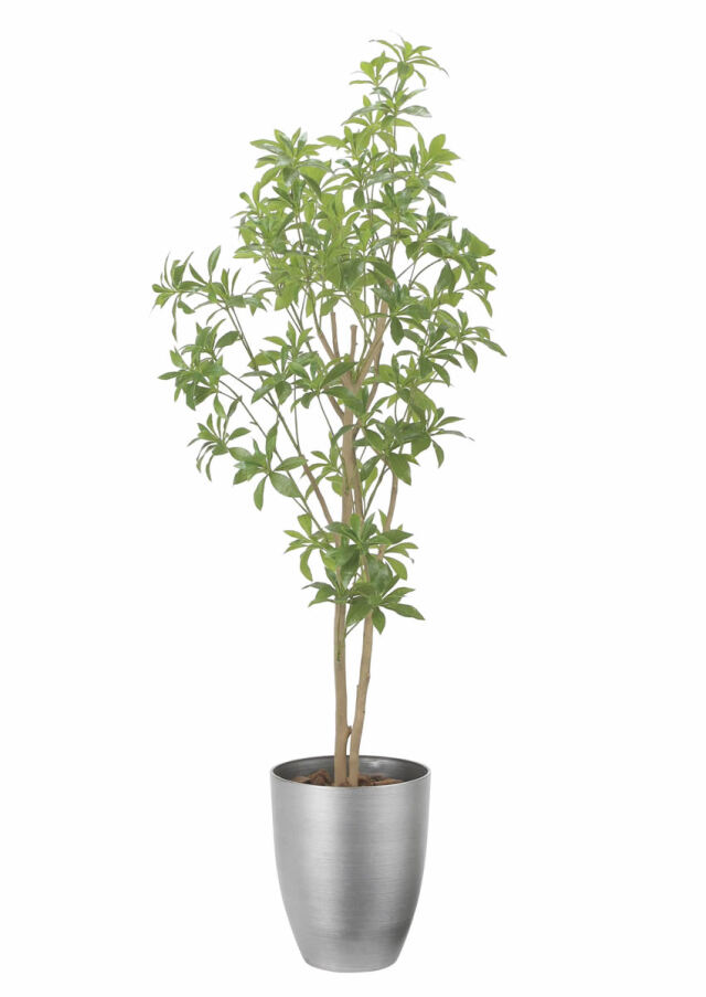 光触媒　人工観葉植物　フェイクグリーン　スリムサラサドウダン1.7 光触媒 光の楽園 スリムサラサドウダン1.7m【インテリア