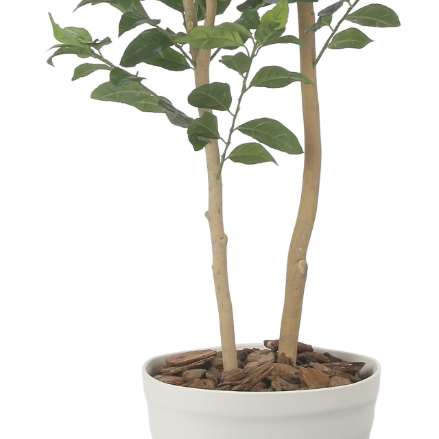 光触媒 光の楽園 レモンの木1.6m【インテリア フェイクグリーン 人工