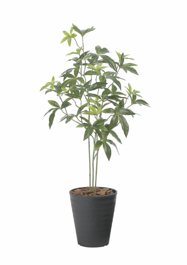 光触媒 光の楽園 フレッシュパキラ95【インテリア フェイクグリーン 人工観葉植物】(2525A100)（※ラッピング不可）