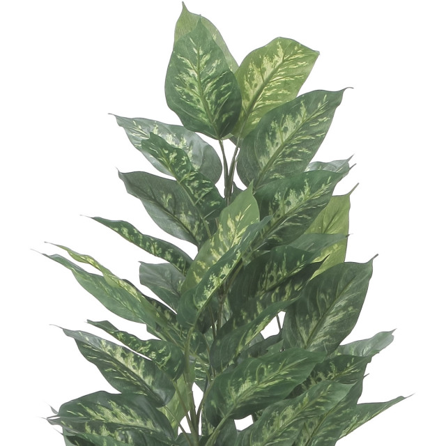 光触媒 光の楽園 スリムディフェンバキア1.5m【インテリア