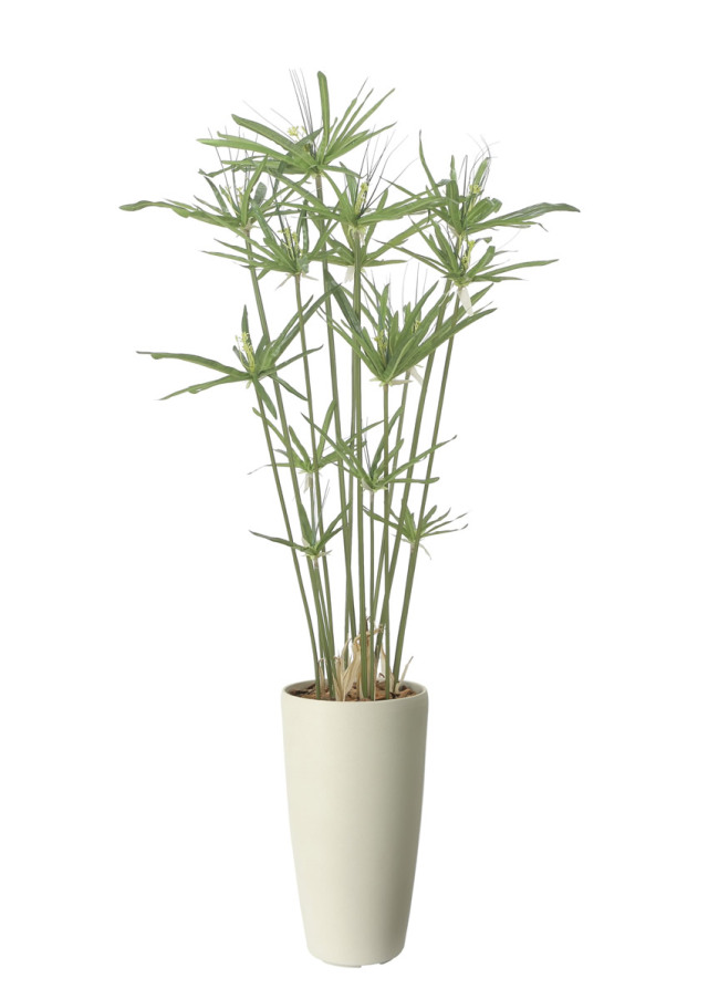 光触媒 光の楽園 アムステラバーキング 1.2m【インテリア フェイク