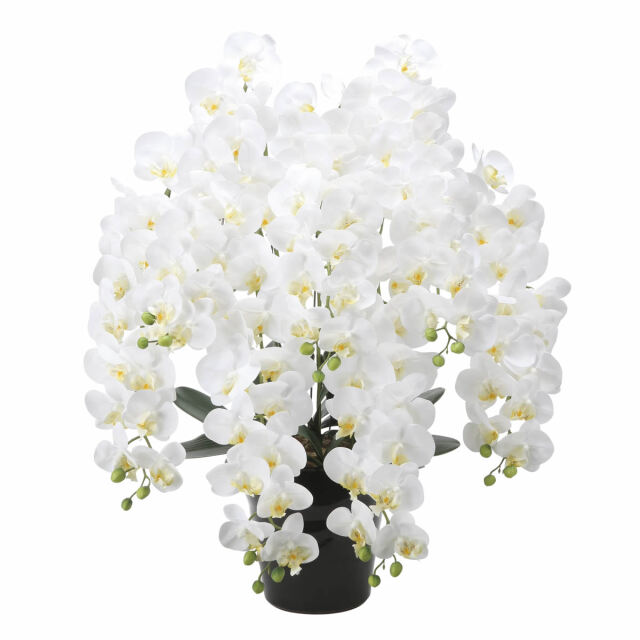 光触媒　人工観葉植物　フェイクグリーン　フレッシュロング胡蝶蘭7本立w 光触媒 光の楽園 フレッシュロング胡蝶蘭7本立ちW【アート
