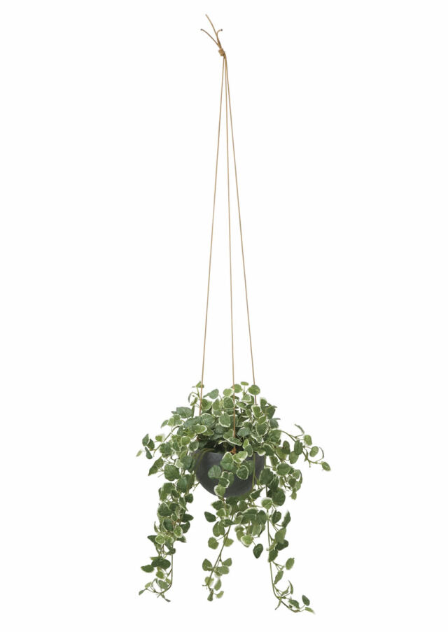 光触媒 光の楽園 フィロハンギング【アートフラワー 造花】(2584A100