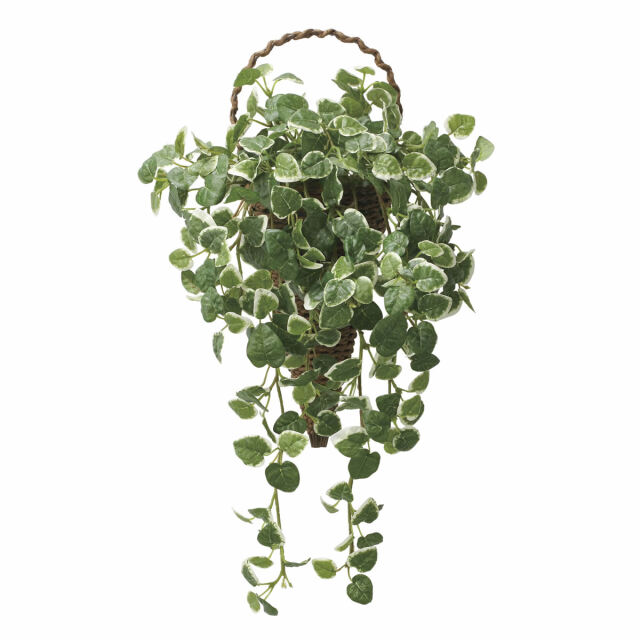 光触媒 光の楽園 壁掛けプミラ【アートフラワー 造花】(2585A95)（※ラッピング不可）