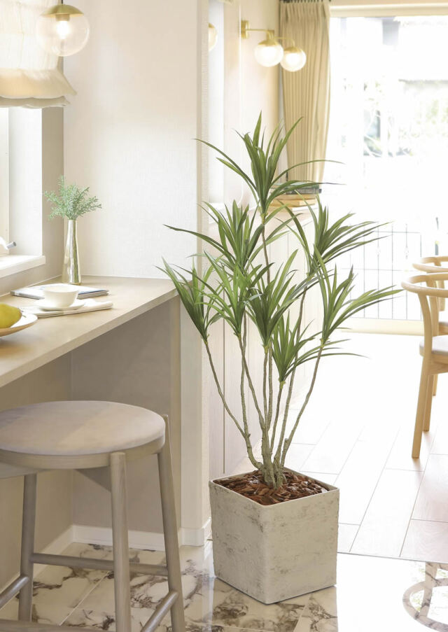 光触媒 光の楽園 インテリアドラセナ1.4（ポリ製）【インテリア