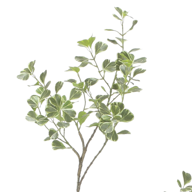 光触媒　人工観葉植物　ウォールグリーン　フェイクグリーン　フィカストライアングル 光触媒 光の楽園 スリムフィカストライアングル1.6m【インテリア