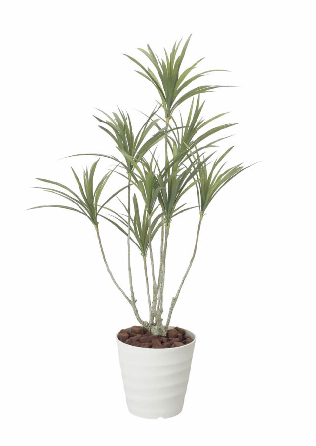 光触媒 人工観葉植物 幸福の木（ドラセナ）【光の楽園】