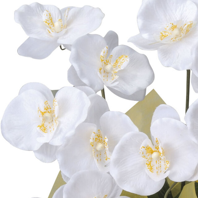 光触媒 光の楽園 ミディ胡蝶蘭W【アートフラワー 造花 コチョウラン