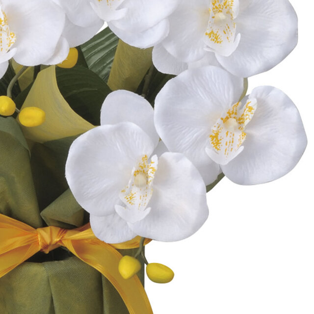 光触媒 光の楽園 ミディ胡蝶蘭W【アートフラワー 造花 コチョウラン