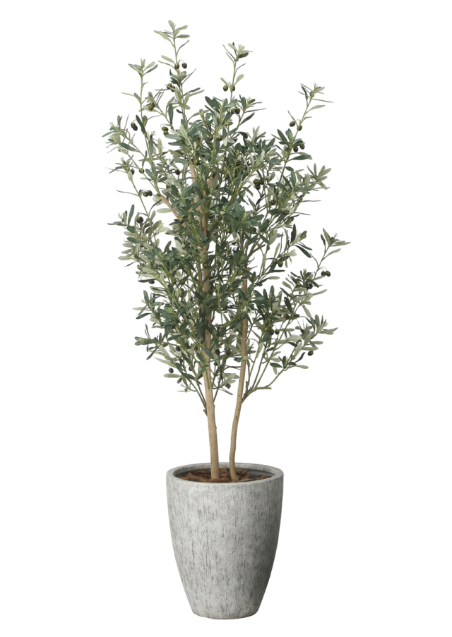 光触媒 光の楽園 ナチュラルオリーブ1.8m【インテリア フェイクグリーン 人工観葉植物】(2613A750)（※ラッピング不可）