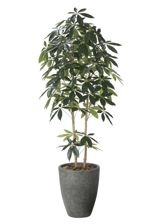 光触媒 人工観葉植物 パキラ【光の楽園】