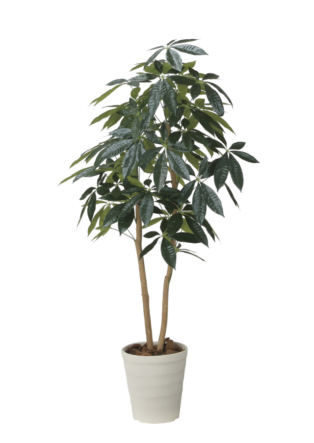 光触媒 光の楽園 パキラ1.35m【インテリア フェイクグリーン 人工観葉植物】(2616A220)（※ラッピング不可）