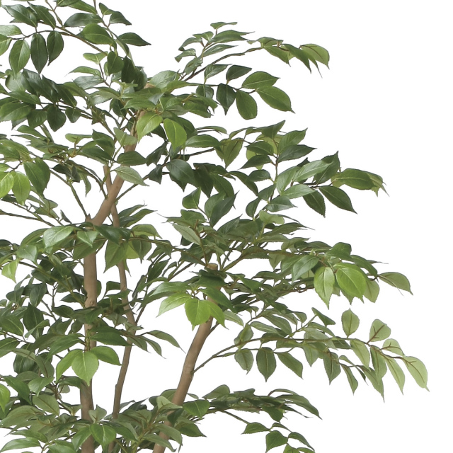 光触媒　人工観葉植物　フェイクグリーン　マウンテンアッシュ1.6m 光触媒 光の楽園 ナチュラルマウンテンアッシュ1.6m【インテリア
