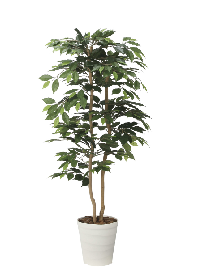 130cm以上 造花と観葉植物の専門店 光の楽園