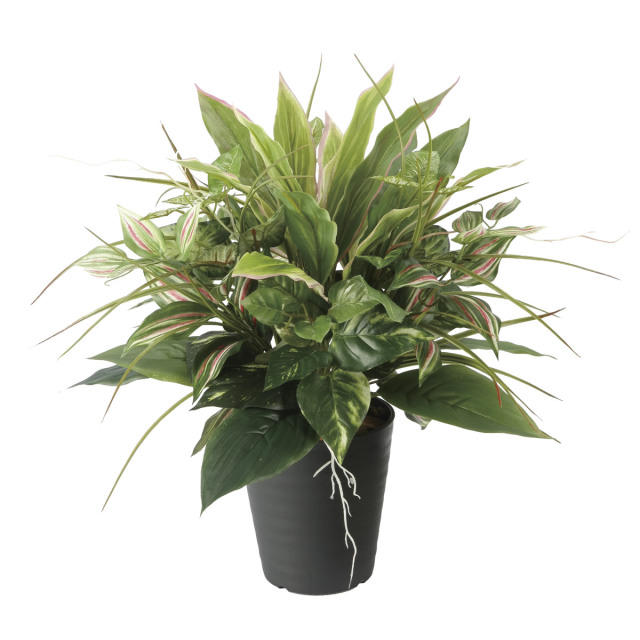 光触媒 光の楽園 ミックストラディス【アートフラワー 造花】(2622A80)